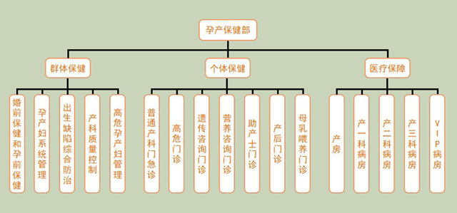 孕產(chǎn)保健部最終圖111_副本.png