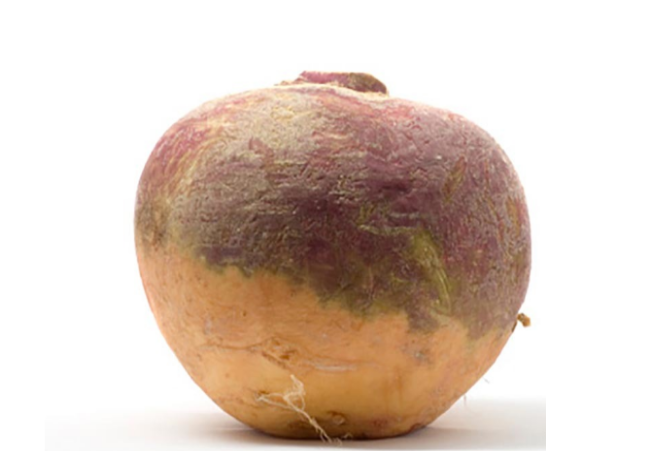 blob.png blob.png
