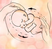 圖片3.png 圖片3.png