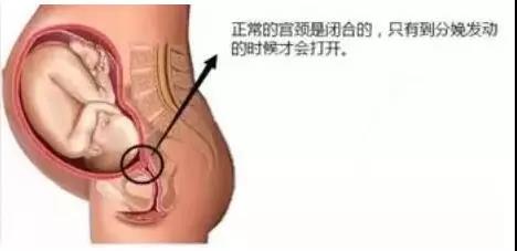 微信圖片_20190717084745.jpg 微信圖片_20190717084745.jpg