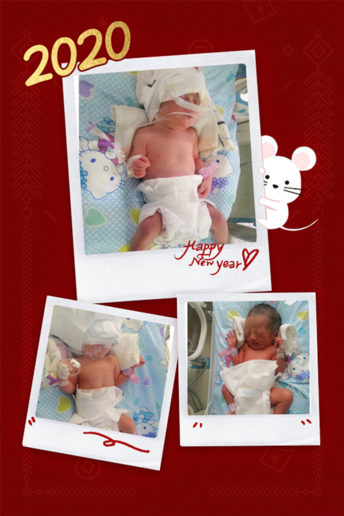 baby1.png baby1.png