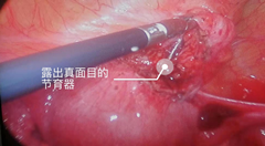 圖片3.png 圖片3.png