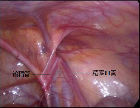 圖片13.png 圖片13.png