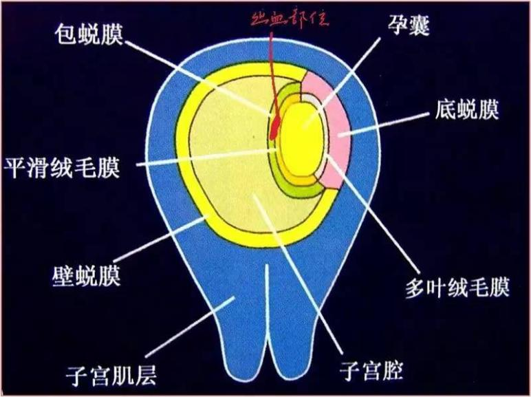 圖片1.png 圖片1.png