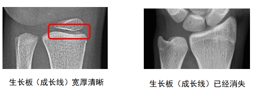QQ截圖20230315152819 QQ截圖20230315152819.png