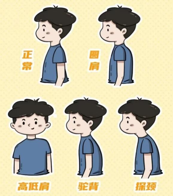 圖片1 圖片1.png