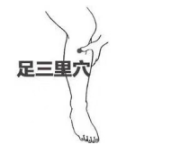 1 1.png