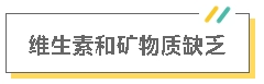 1 1.png