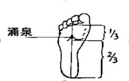 1 1.png