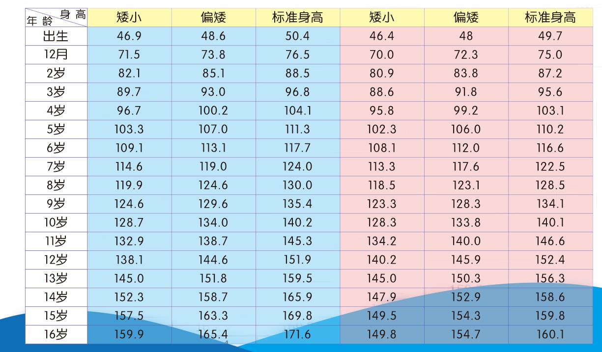 圖片2 圖片2.png
