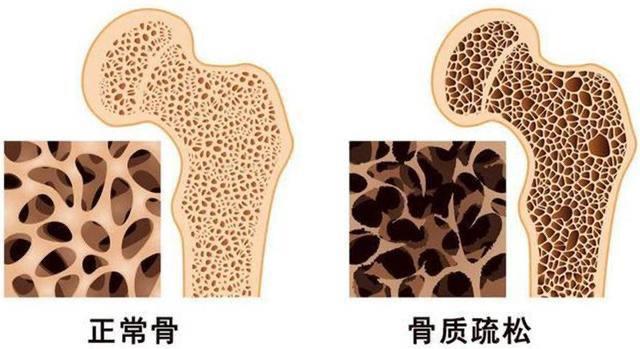 圖片4 圖片4.png