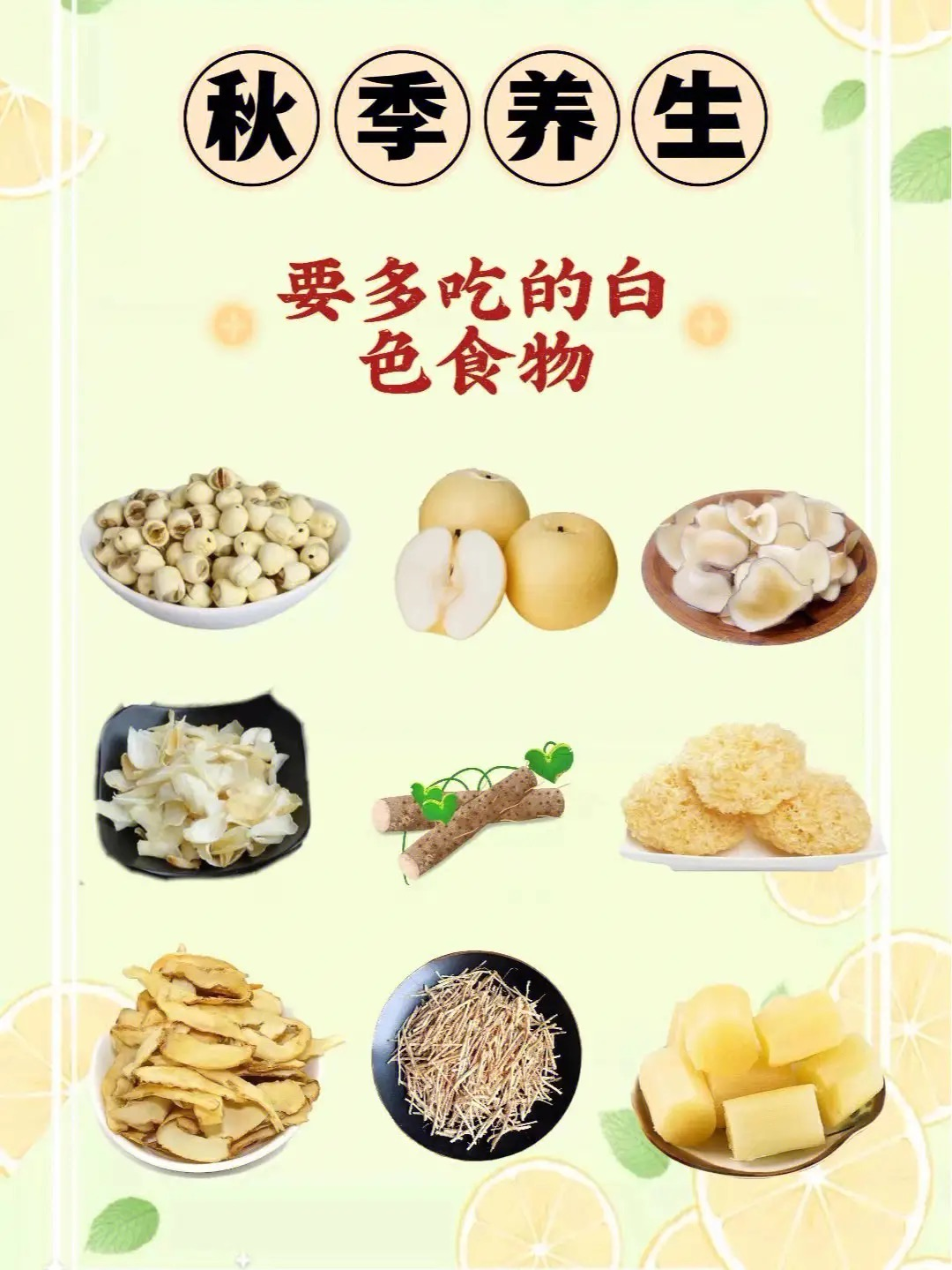 圖片5 圖片5.png