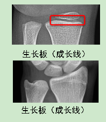 微信圖片_20250113085934 微信圖片_20250113085934.png