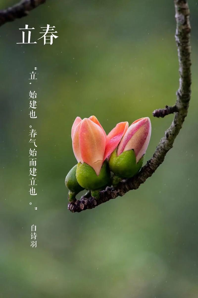 圖片1.png