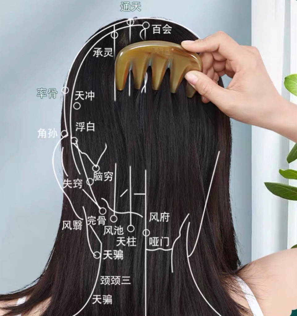 圖片5 圖片5.png