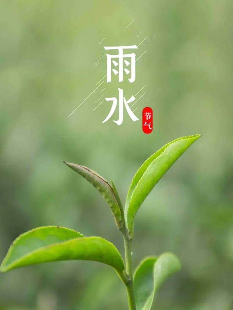 圖片 1 圖片 1.png