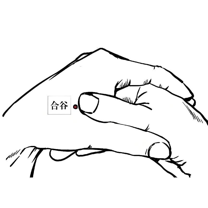 圖片 7 圖片 7.png