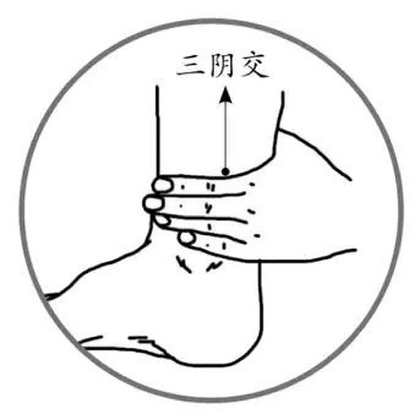 圖片 7 圖片 7.png